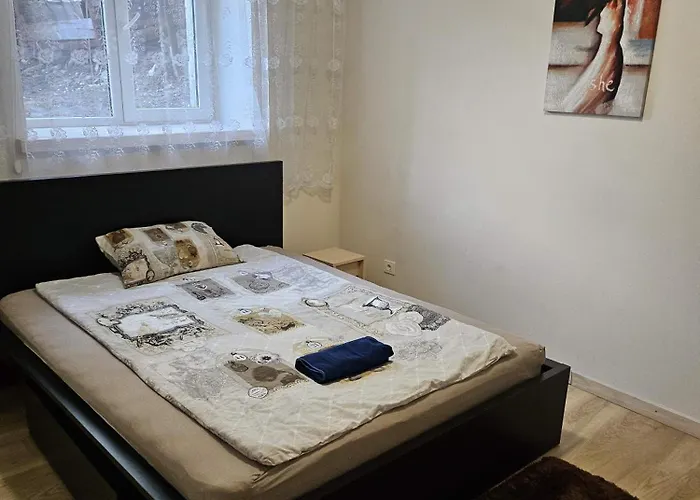 Kauno Apartamentai 1 Bed 考纳斯