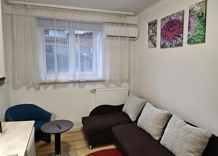 Kauno Apartamentai 1 Bed 公寓 考纳斯