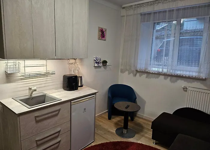 Kauno Apartamentai 1 Bed 考纳斯